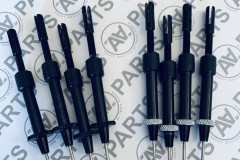 Vang  - carbon system