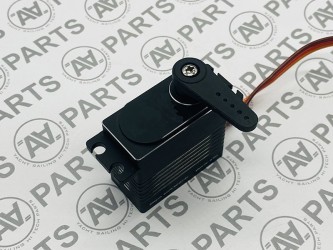 EaasyServo BLS 